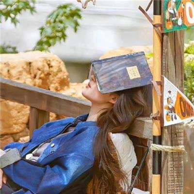 偷怀上司崽后,我辞职了